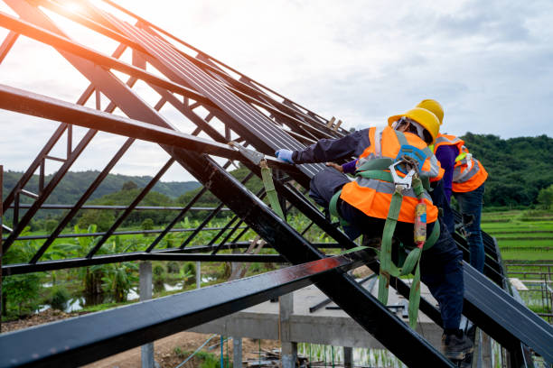 Best Metal Roofing Contractor  in Sidney, MT